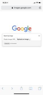 This may take a few moments, so be patient. The Best Ways To Reverse Image Search On An Iphone