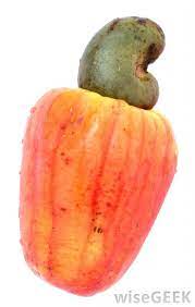 We did not find results for: What Is Cashew Nut Processing With Pictures