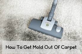 How To Get Mold Out Of Carpet Mold Help For You