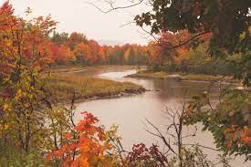 Birch Gate Campsite Camps Of The Pioneers Me 84 Hipcamper Reviews And 39 Photos Maine In The Fall Acadia National Park National Parks