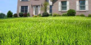 Find out what works well at the green edge landscaping from the people who know best. Green Edge Landscaping Home Facebook