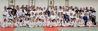 American martial arts academy cost. Park S Martial Arts Academy Tae Kwon Do Judo Self Defense Home