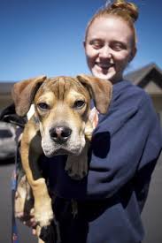 Find your closest private walk in centre near me. Dog Cat Wellness Clinic In Bend Or