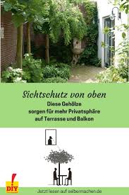 Sichtschutz Mit Pflanzen Grun Uberdacht Pflanzen Balkon Pflanzen Garten