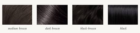 Women with dark brown hair may not realize this, but there are tons of different. Dark Winter A Comprehensive Guide The Concept Wardrobe