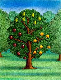 When paul gathered an offering from the gentiles for the poor saints in jerusalem, he called the offering fruit: Fruit Tree Ink Rhythm