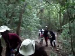 Mountain, natural resources, afadjato, women, ecosystem, and community based. University Of Ghana Students Trip To Mountain Afadjato Wli Waterfalls Youtube