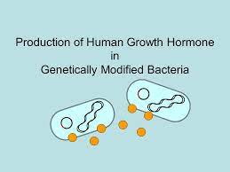 Human chorionic gonadotropin is a glycoprotein composed of 237 amino acids with a molecular mass of 36.7 kda, approximately 14.5 αhcg and 22.2kda βhcg. Production Of Human Growth Hormone In Genetically Modified Bacteria Ppt Video Online Download