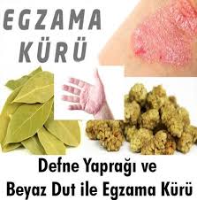 Yusuf Cetin Adli Kullanicinin Saglik Panosundaki Pin 2020 Dogal Defne Yapragi Dogal Saglik