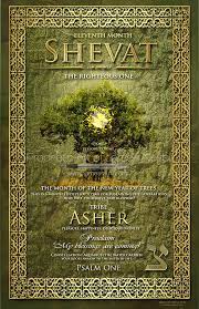 Shevat Prophetic Art Hebrew Months Biblical