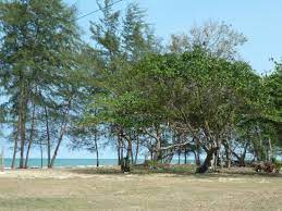 Descriptiontanjung pantai sepat beach, kuantan, pahang.jpg. Seaside View Of Pantai Sepat Picture Of Cempaka Beach Resort Kuantan Tripadvisor