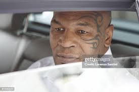 32 Mike Santini Stock Photos, High-Res Pictures, and Images