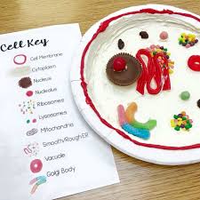 Check spelling or type a new query. 88 Beautiful Lysosomes 3d Model Free Mockup