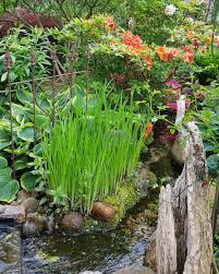 Werbung Wegen Namensnennung Unbeauftragt Unbezahlt Nur Noch 19 Tage Dann Offnet Sich Im Rahmen Des Offenen Garten In Schle Garten Offene Garten Garten Design