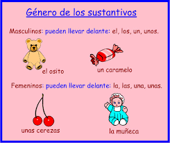 Resultado de imagen de el genero del sustantivo para primaria