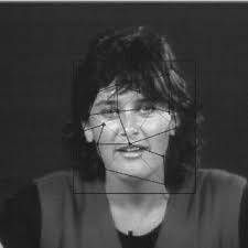 System block diagram with Global & Segmented PCA paths.