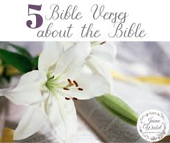 We did not find results for: 5 Bible Verses About The Bible Seeking God With Jaime Wiebel