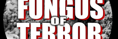 oYoXoYo w/ FUNGUS OF TERROR