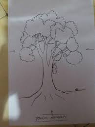 Simulasi tes psikotes gambar pohon pasukan random email by how to draw the right tree of psychology exam soal psikotes dan jaw pohon gambar cara menggambar. 70 Psikotes Gambar Pohon Mangga Tes Psikotes Gambar