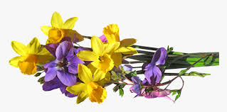 Purple flower transparent design resources · high quality aesthetic backgrounds and wallpapers, vector illustrations, photos, pngs, mockups, templates and art. Transparent Group Of Flowers Clipart Yellow Purple Flowers Png Png Download Kindpng