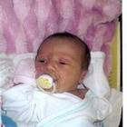 Obituary for Giovanna Kathryn 'GiGi' Polito