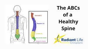 Affiliated doctors have gone to the following schools · logan college of chiropractic · northwestern university the . The Abcs Of A Healthy Spine Radiant Life Chiropractic