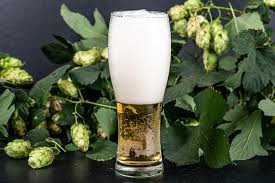 Lupulo cascade americano x 500kg cerveza artesanal palermo. Fondos De Pantalla Lupulo Cerveza Vaso Espuma Alimentos Descargar Imagenes