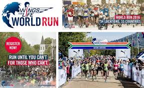Image result for wings for life