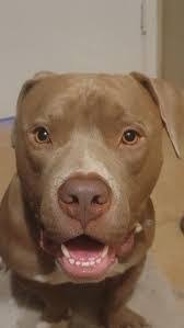 John Swedlund's Instagram, Twitter & Facebook