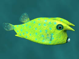 Boxfish Free 3d Model Max C4d Obj 3ds Fbx Lwo Stl 3dexport Com By Bulauka 3d Model Fish Pet Model