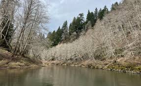 A mother's request and a photo of her missing son spurs diver's mission to  find 2-year-old Dane Paulsen • YachatsNews.com