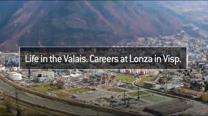 Learn what my family has known. Lonza Als Arbeitgeber Gehalt Karriere Benefits Kununu
