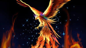 With tenor, maker of gif keyboard, add popular phoenix bird animated gifs to your conversations. Beautiful Phoenix Wallpapers Top Free Beautiful Phoenix Backgrounds Wallpaperaccess