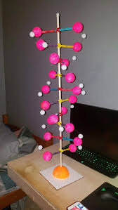 3dprintingvideospenhowtomake Dna Replication Activity Task Cards Dna Model Project Dna Project Dna Double Helix Model