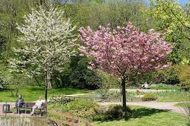 Botanischer garten (botanical garden) founded in 1952 the garden now extends over an park, botanical garden. Trfihi Parks Parks Botanischer Garten Solingen