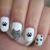 Have a question about your pet's health? Https Encrypted Tbn0 Gstatic Com Images Q Tbn And9gcq Bjkfmtwsyfu Kkwwqa Cmbr9lrimeufqmsmnejerurawp5kh Usqp Cau