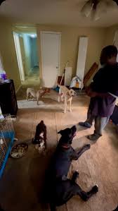 I'm Donnell Wise from Roxboro NC. Our children must be protected from  predators! It could happen to anyone.PLEASE LOOK AT MY PINNED VIDEOS.  PLEASE LIKE & SHARE! #viralreels ##reelsvideo #forvoupage #viralvideos  #theshaderoom #