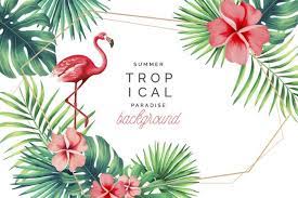 Download Tropical Paradise Background With Flamingo For Free Vector Free Tropical Background Butterfly Watercolor