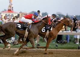 Pin By Dan Lewis On Triple Crown Winners Horses Thoroughbred Horse Racing Horse Racing