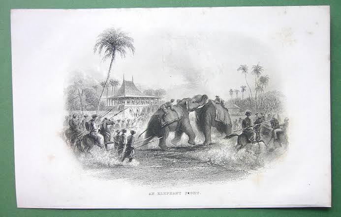 INDIA Elephants Fight - 1860 Antique Print | eBay