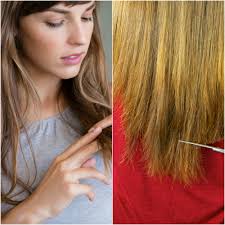 These symptoms can also include hot flashes, night sweats, mood swings, insomnia, and vaginal dryness. Hair Breakage 10 Common Causes And How To Fix Them Allure