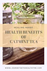 Health Benefits Of Catmint Tea Health Healing Tea Health Benefits