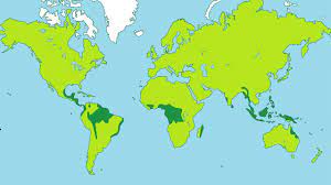 As i already mentioned, the tropical rainforests are located between the tropic of cancer and the tropic of capricorn, and the world's largest rainforests can be found in the amazon (south america), in the congo river basin (west africa) and in southeast asia. Facts About Tropical Rainforests Youtube
