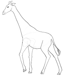 Mcgrath's art room's board how to draw tutorials: Giraffe Sketch Easy