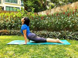 Indoindiansyogachallenge Day 5 Urdhva Mukha Svanasana Upward Facing Dog Pose Indoindians Com