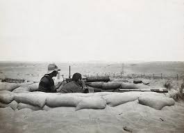 Sinai Desert, Egypt: first world war front line trenches free public domain  image | Look and Learn