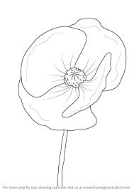 I use ink because that is the art media i'm most comfortable with, but feel free to use the art medi. Learn How To Draw Poppy Flower Poppy Step By Step Drawing Tutorials
