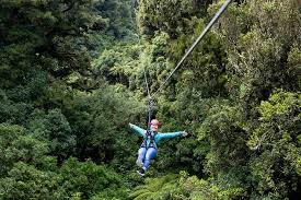 Learn how to use forest canopy to create anything from individual trees to entire forests. Rotorua Forest Canopy Zipline Abenteuer 2021