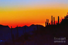Our gorgeous sunsets is what tucson & arizona is known for! Sunset Over Tucson Arizona Photograph By Diana Mary Sharpton