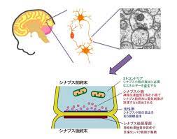 ボード quick inspirations のピン